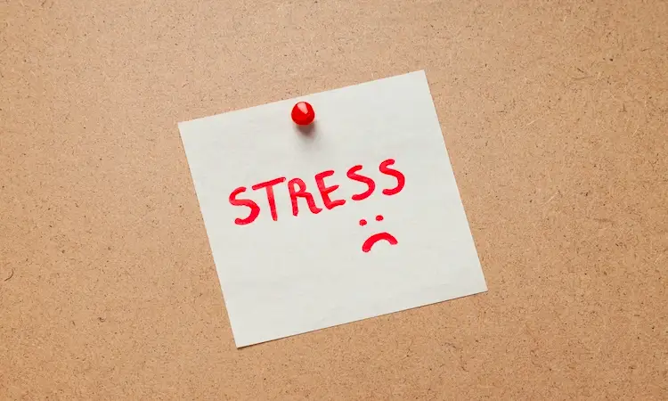 Stress and Low Libido: Quick Calming Tools That Work Stress and Low Libido: Quick Calming Tools That Work