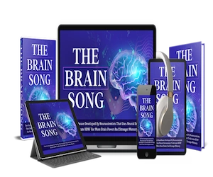 The Brain Song – Audio Support for Mental Balance